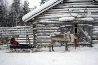 lapland_032